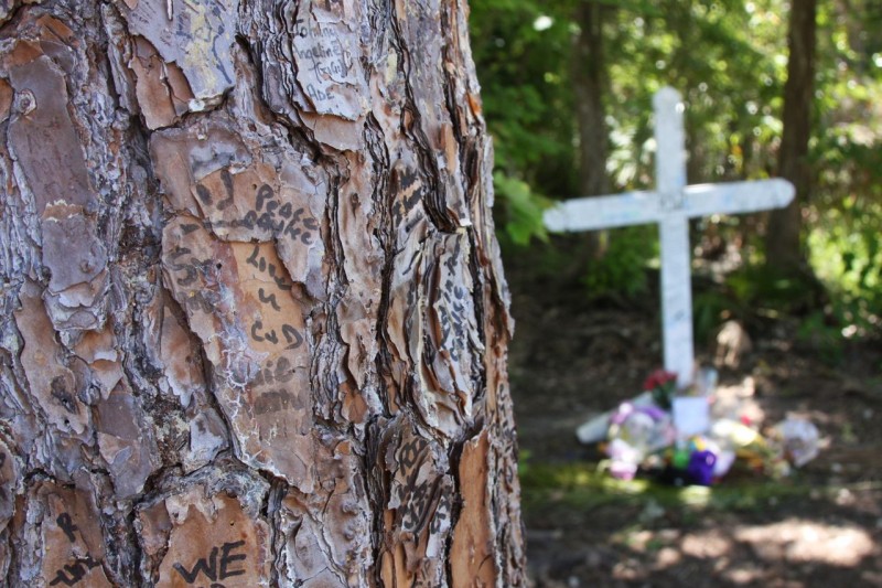 Caylee Anthony Memorial